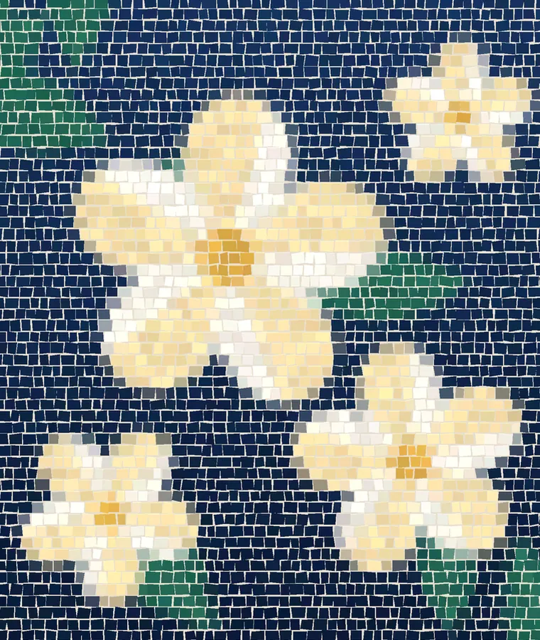 The Mosaica Nai Yang — Плюмерия — цветок, который цветёт здесь круглый год
